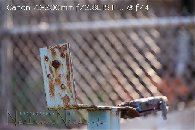 So sánh Canon 135mm f/2L và Canon 70-200mm f/2.8L IS II