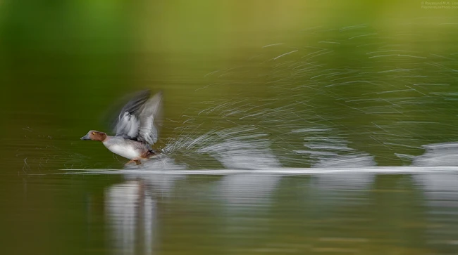 Kỹ thuật Motion Blur trong nhiếp ảnh