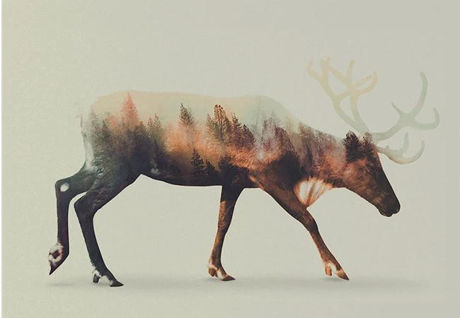 Cùng tìm hiểu kỹ thuật chụp ảnh chồng hình Multi Exposure