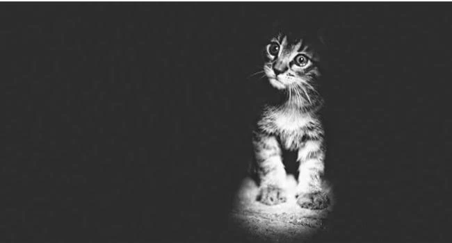 Làm chủ thể loại chụp ảnh đen trắng