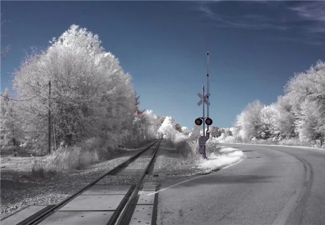 Mê hoặc với kỹ thuật chụp ảnh hồng ngoại