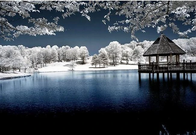 Mê hoặc với kỹ thuật chụp ảnh hồng ngoại