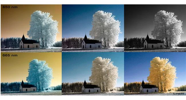 Mê hoặc với kỹ thuật chụp ảnh hồng ngoại