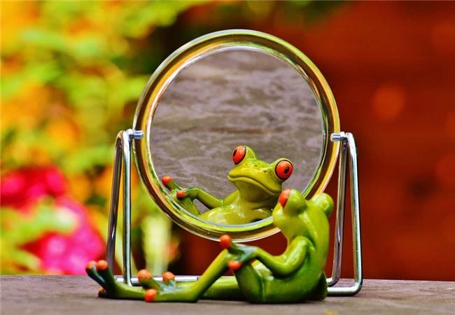 Mẹo chụp ảnh tĩnh vật thu hút người xem