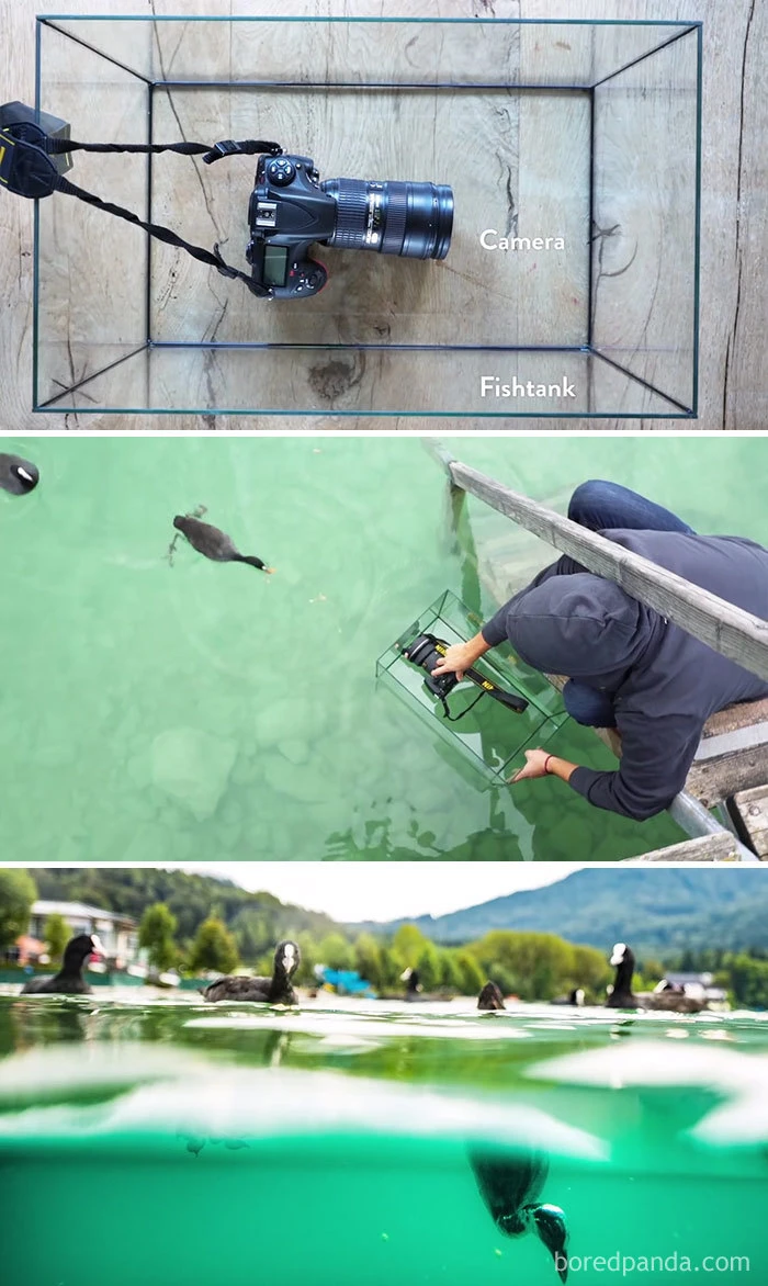 Mẹo đơn giản giúp cải thiện kỹ năng nhiếp ảnh của bạn trong 3 phút