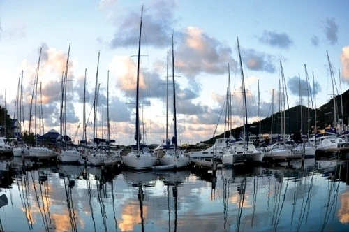 Méo hình và cách khắc phục