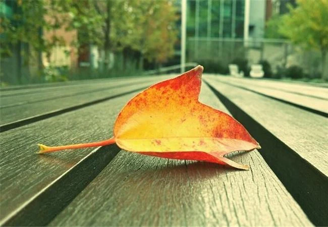 Những bài tập nhiếp ảnh dành cho người mới chơi