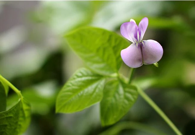 Những cách đơn giản để cải thiện bố cục trong nhiếp ảnh