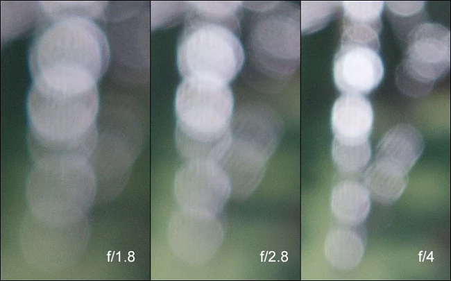 Những ống kính cảm biến Crop cho bokeh ngọt ngào mà bạn nên sở hữu