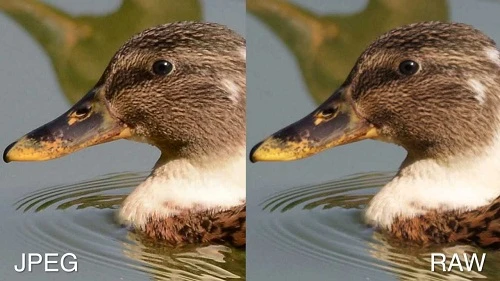 Những điều chưa biết về định dạng ảnh JPEG