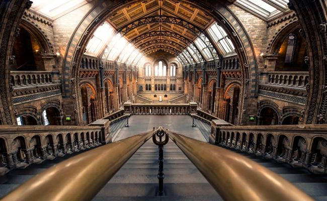 Phá vỡ các quy tắc trong nhiếp ảnh-tại sao không?