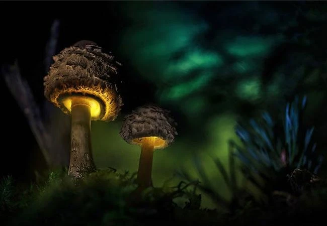 Phá vỡ các quy tắc trong nhiếp ảnh-tại sao không?