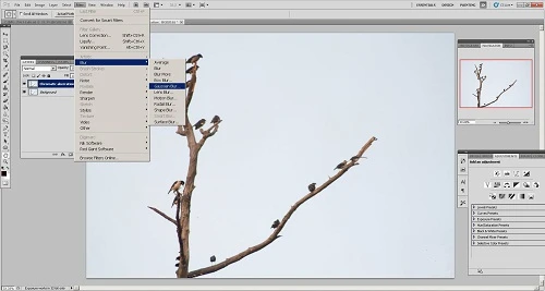 Quang sai màu trong nhiếp ảnh