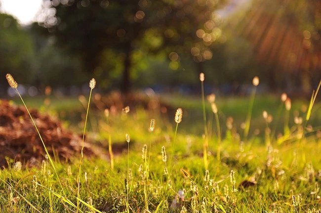 Quy tắc Sunny 16 là gì về trong nhiếp ảnh