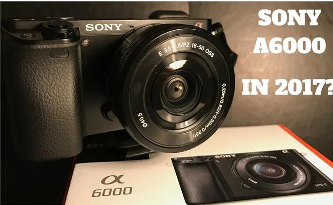 Sắm gì chụp tết?