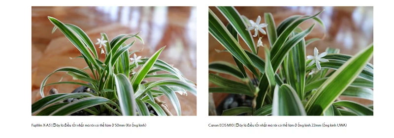 So sánh Fujifilm X-A3 với Canon EOS M10