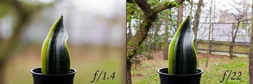 Sơ lược về độ sâu trường ảnh (Tiếp theo)