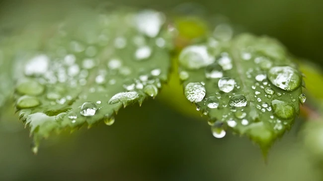 Sử Dụng Bề Mặt Phản Chiếu Trong Nhiếp Ảnh