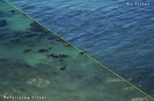 Tại sao mỗi nhiếp ảnh gia cần sở hữu một kính lọc phân cực