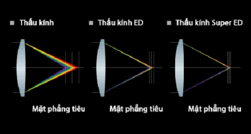 Tìm hiểu về hệ thống thấu kính của máy ảnh