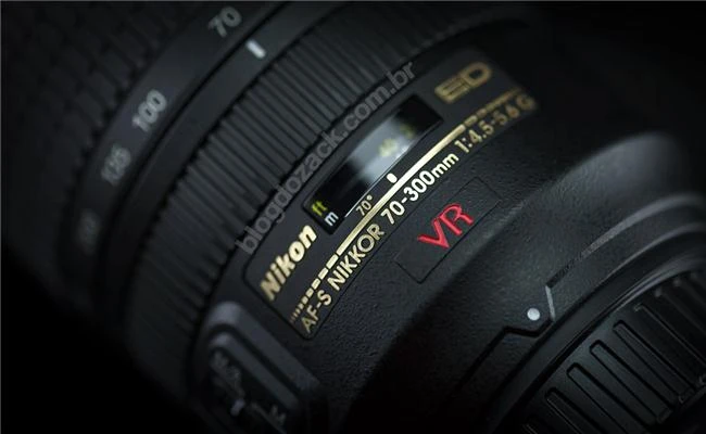 Tuyển tập ống kính Nikon chụp động vật hoang dã tốt nhất