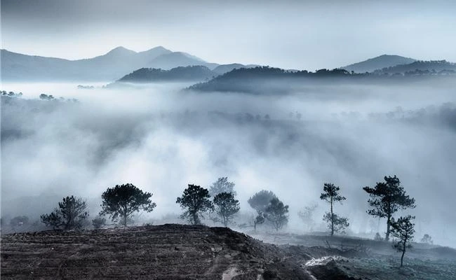 Xử lý ánh sáng một cách đơn giản theo cách của các nhiếp ảnh gia