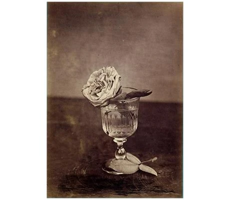 Theo bạn, ảnh tĩnh vật khó hay dễ? (Phần 1)