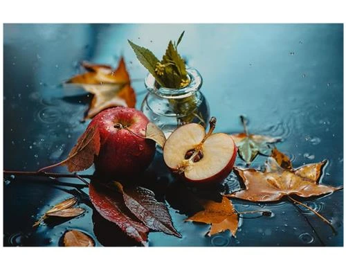 Theo bạn, ảnh tĩnh vật khó hay dễ? (phần 2)