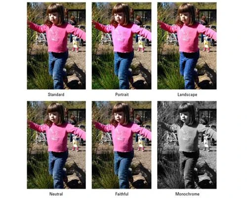 Phong cách ảnh độc đáo với Picture Style của máy ảnh Canon