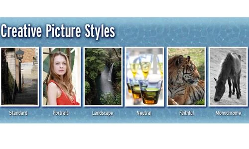 Phong cách ảnh độc đáo với Picture Style của máy ảnh Canon