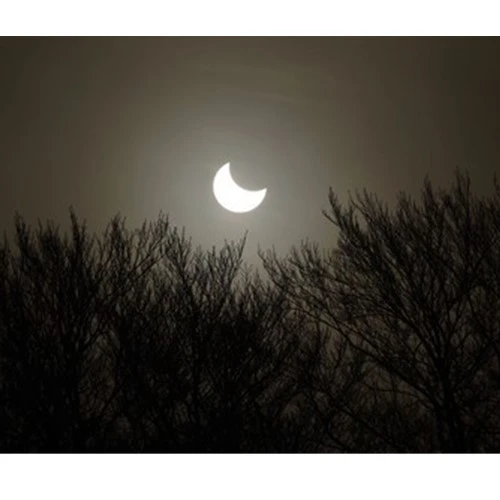 Cách chụp bóng đen hiệu quả nhất