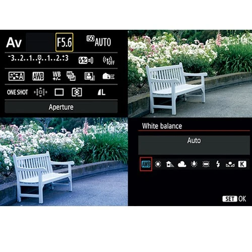 Làm chủ màu sắc với kỹ thuật cân bằng trắng và phơi sáng