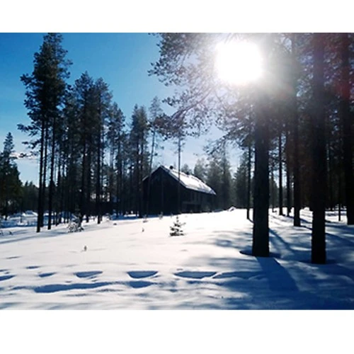 Chụp ngược sáng khi chói nắng