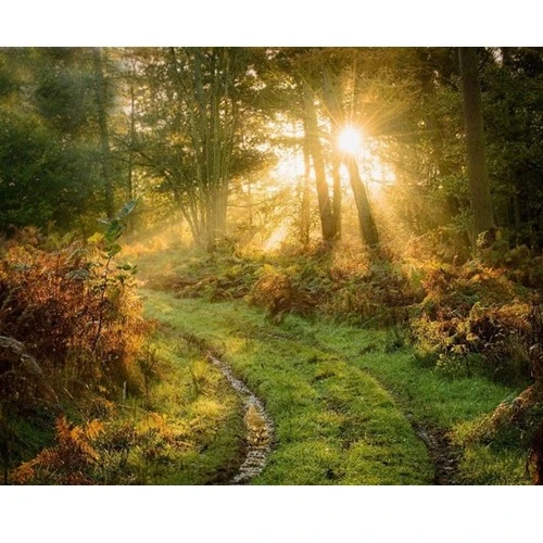 Chụp ngược sáng khi chói nắng