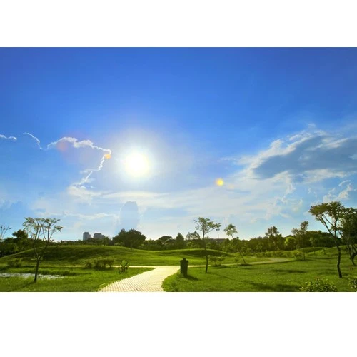 Chụp ngược sáng khi chói nắng