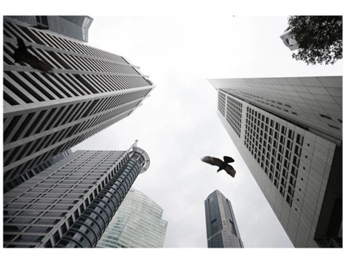 Trời âm u, làm sao để có ảnh đẹp?