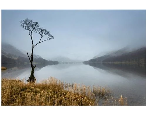 Để ảnh đẹp hơn trong sương mù