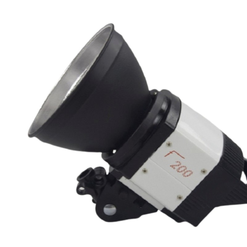 Đèn Flash Studio F200 (200W)