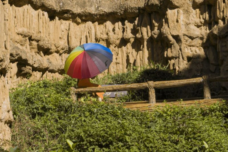 Thiết bị có khả năng nhận diện đối tượng nhanh 