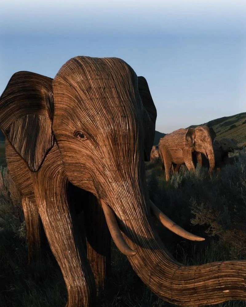 Trải nghiệm màu Film Fujifilm chân thực trong từng khung hình