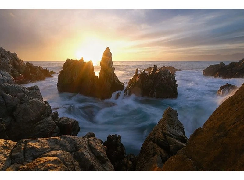 Máy ảnh quay video chất lượng cao chuyên nghiệp