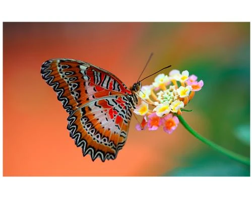 Không gian âm qua ống kính