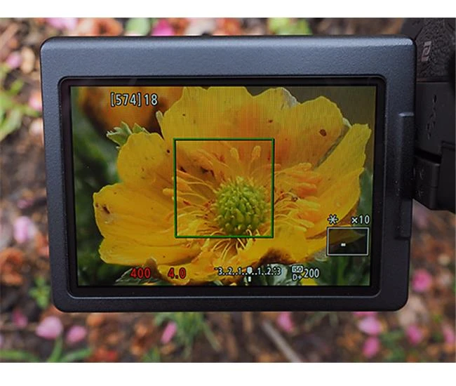 Kỹ thuật chinh phục ảnh phong cảnh với máy ảnh Canon 80D