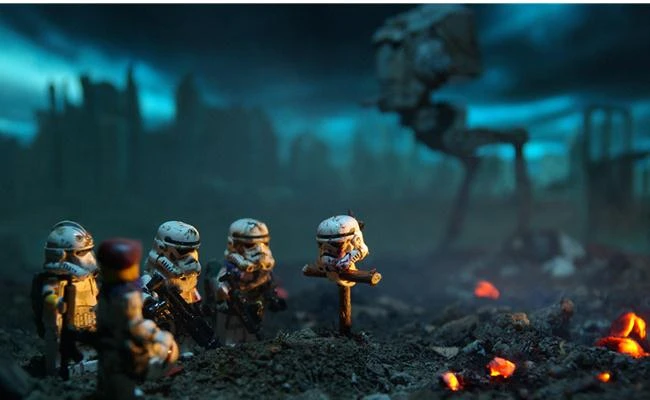 Kỹ thuật lấy nét trong thể loại chụp ảnh Macro