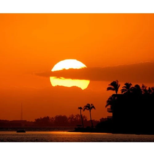 Kỹ thuật chụp ảnh ngược sáng