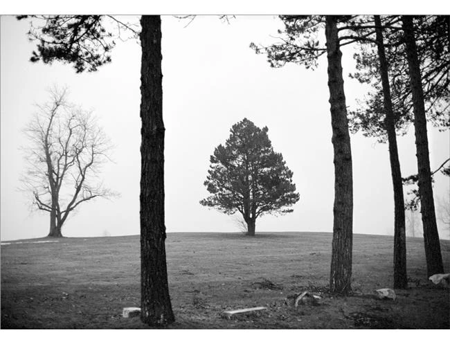 Làm thế nào để hut hút người xem vào những bức ảnh đen trắng