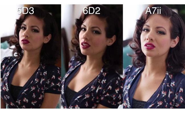 Canon 6D Mark II đọ chất lượng  ảnh cùng 5D Mark III và Sony A7 Mark II