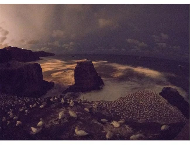 Dù nhiễu hạt nặng nhưng ISO siêu cao vẫn rất cần bởi lý do sau