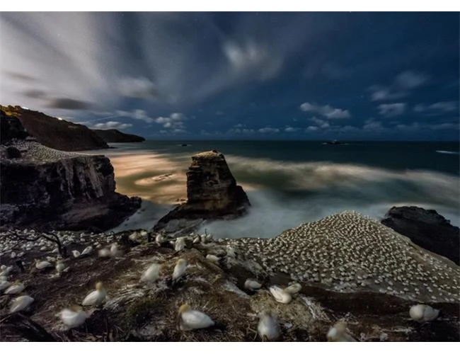 Dù nhiễu hạt nặng nhưng ISO siêu cao vẫn rất cần bởi lý do sau