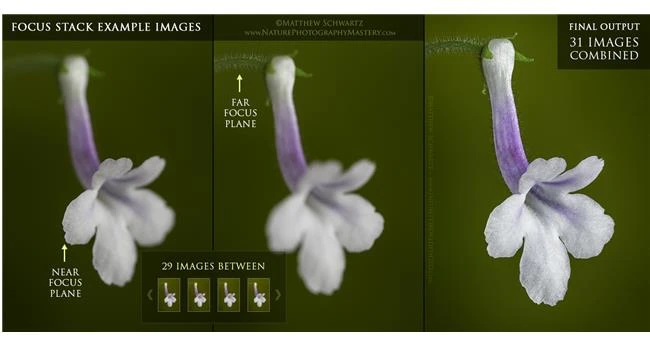 Những ưu điểm lý tưởng của hệ máy ảnh Micro Four Thirds